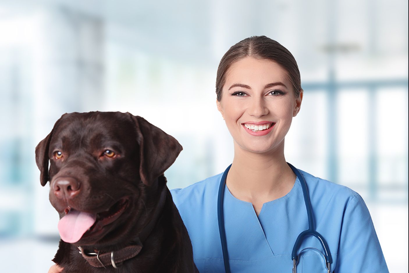 Especialista veterinario profesional